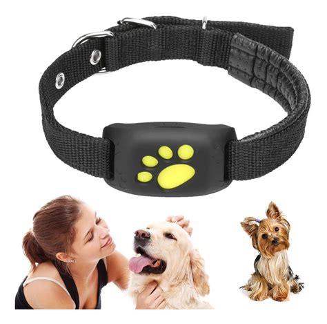 best pet tracking collars